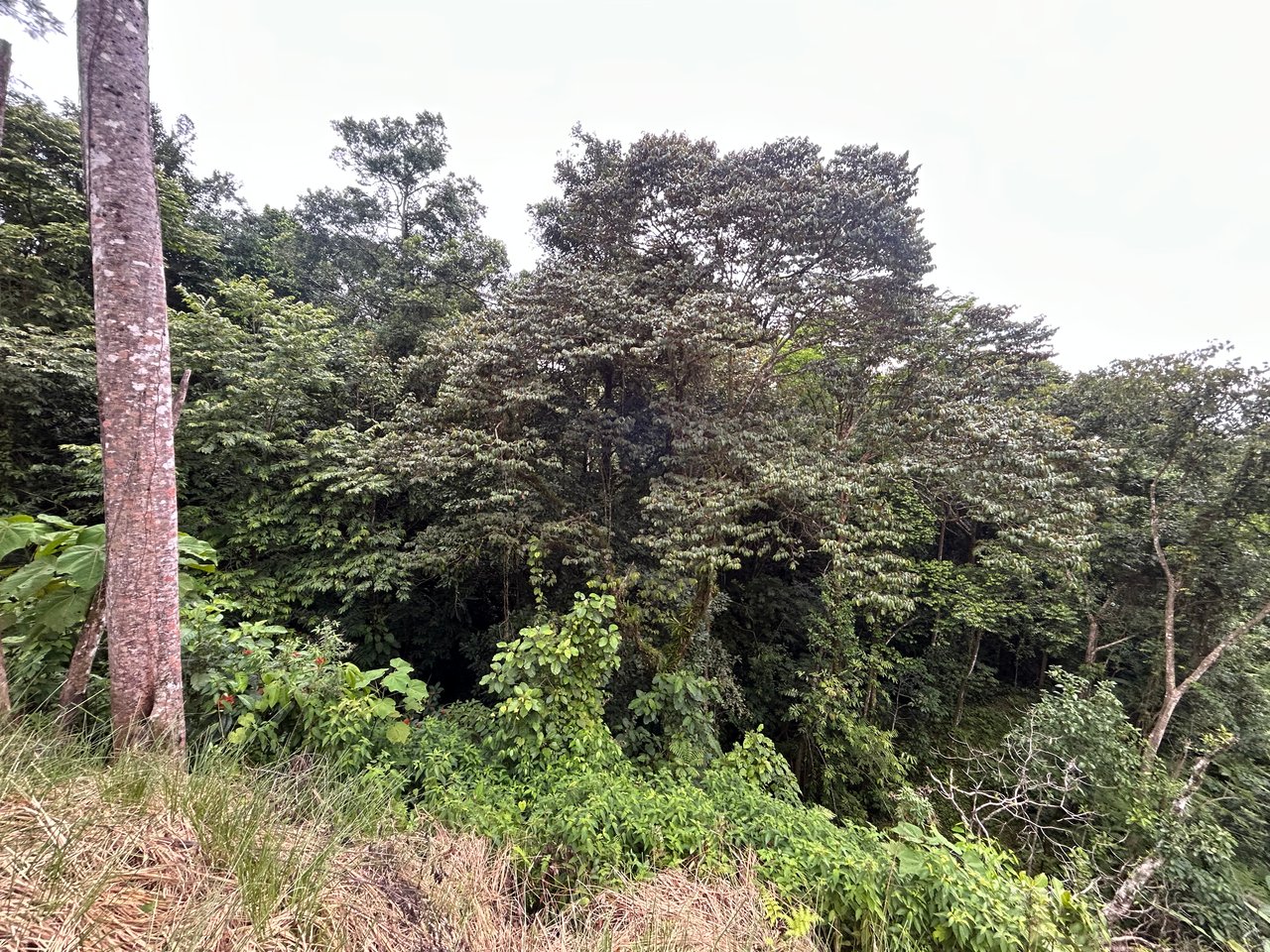 Beautiful Lot in Phase 9 Ojochal, Gated Communuity - NOW WITH LEGAL WATER