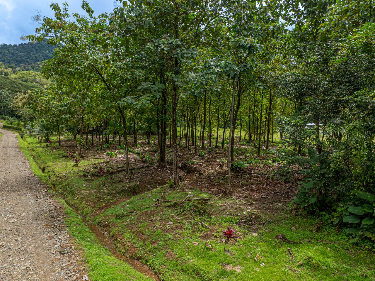 New Gated Development in Matapalo - Ocean View and Flat Land, ready to build!