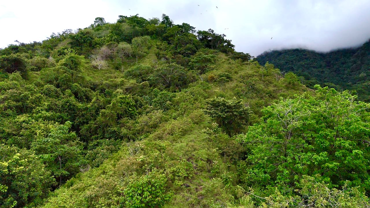 Ocean View Sanctuary in San Buenas – 4.94 Acres of Pastures & Easy Accessaccess