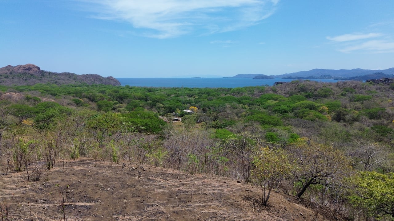 10 HECTARES DEVELOPMENT OPPORTUNITY - PUERTO VIEJO CONCHAL