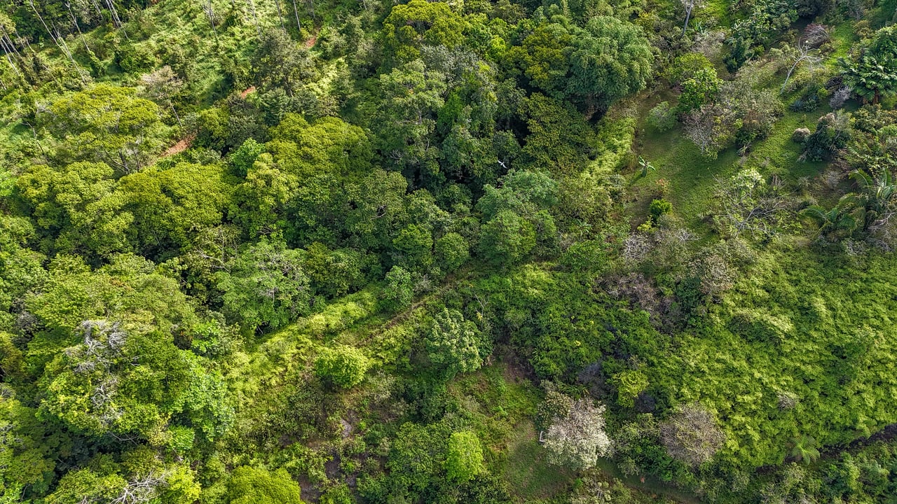 Tinamastes Costa Rica Property with Home, Yoga Deck & Land