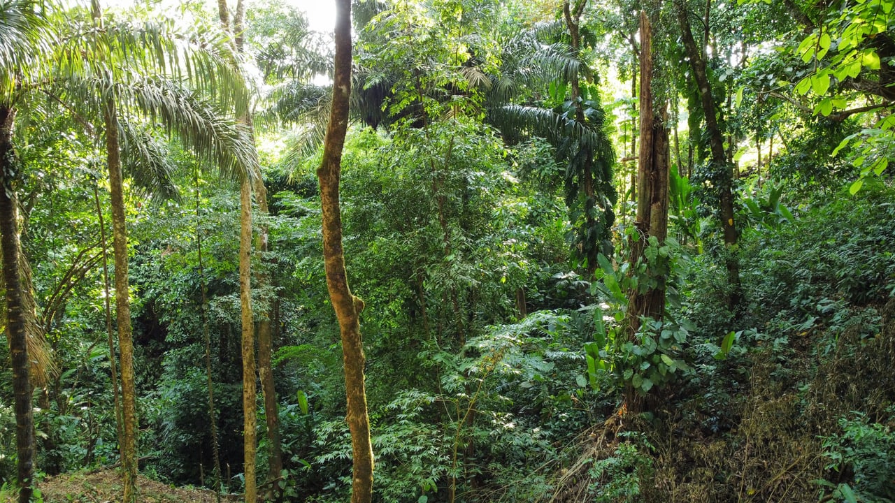 Unique property with terraces and spectacular views near Manuel Antonio National Park