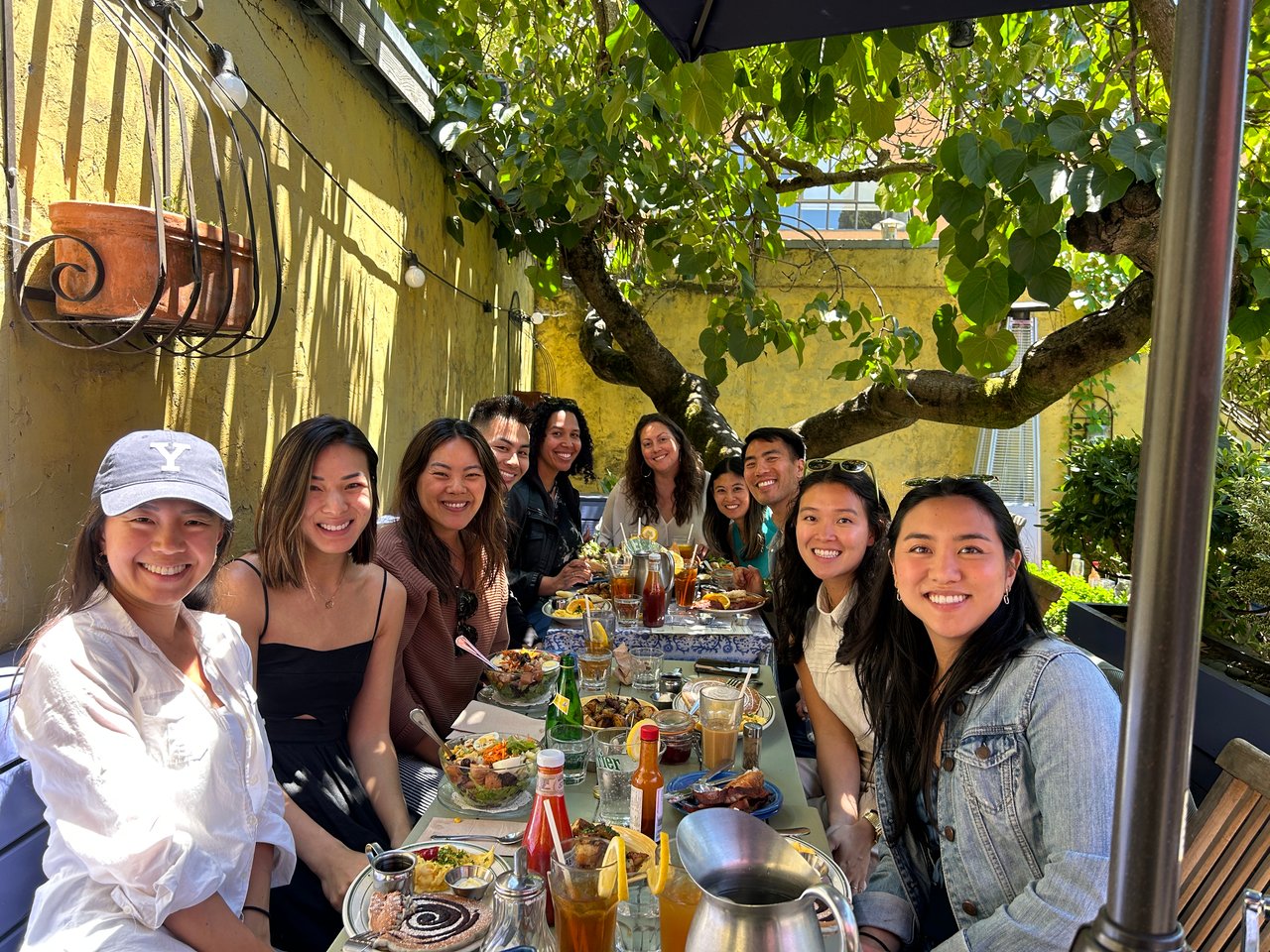 Group of ten people dining outdoors beneath a leafy tree.