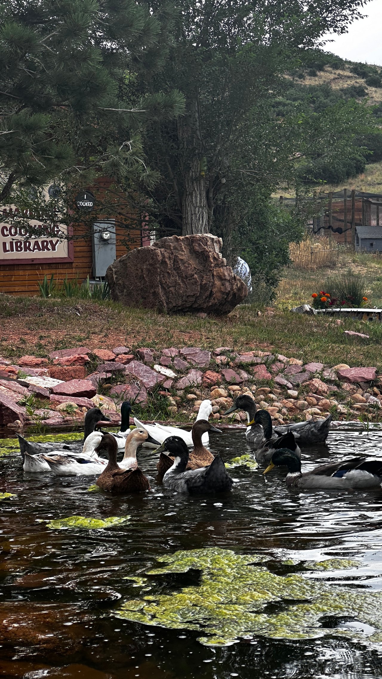 Western Spirit Meets Modern Dreams: Monica Breckenridge Explores Flying W Ranch on American Dream TV