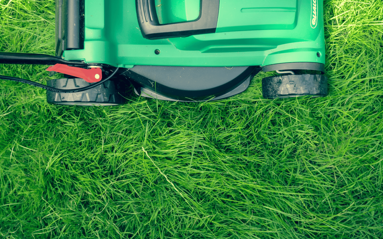 The Role of Landscaping in Boosting Your Home's Aesthetic Appeal