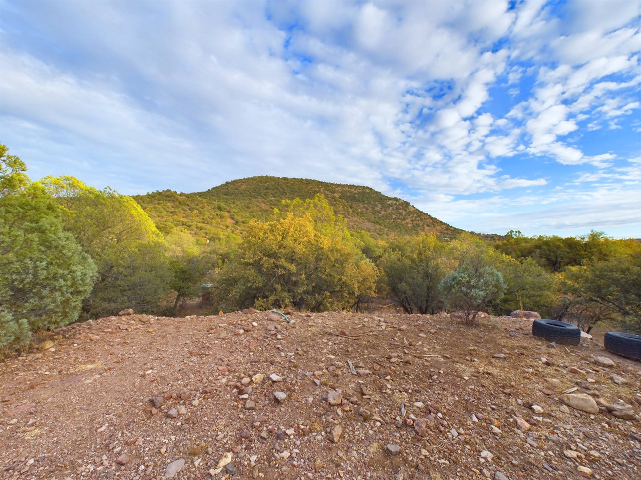 305 Tomahawk Trail