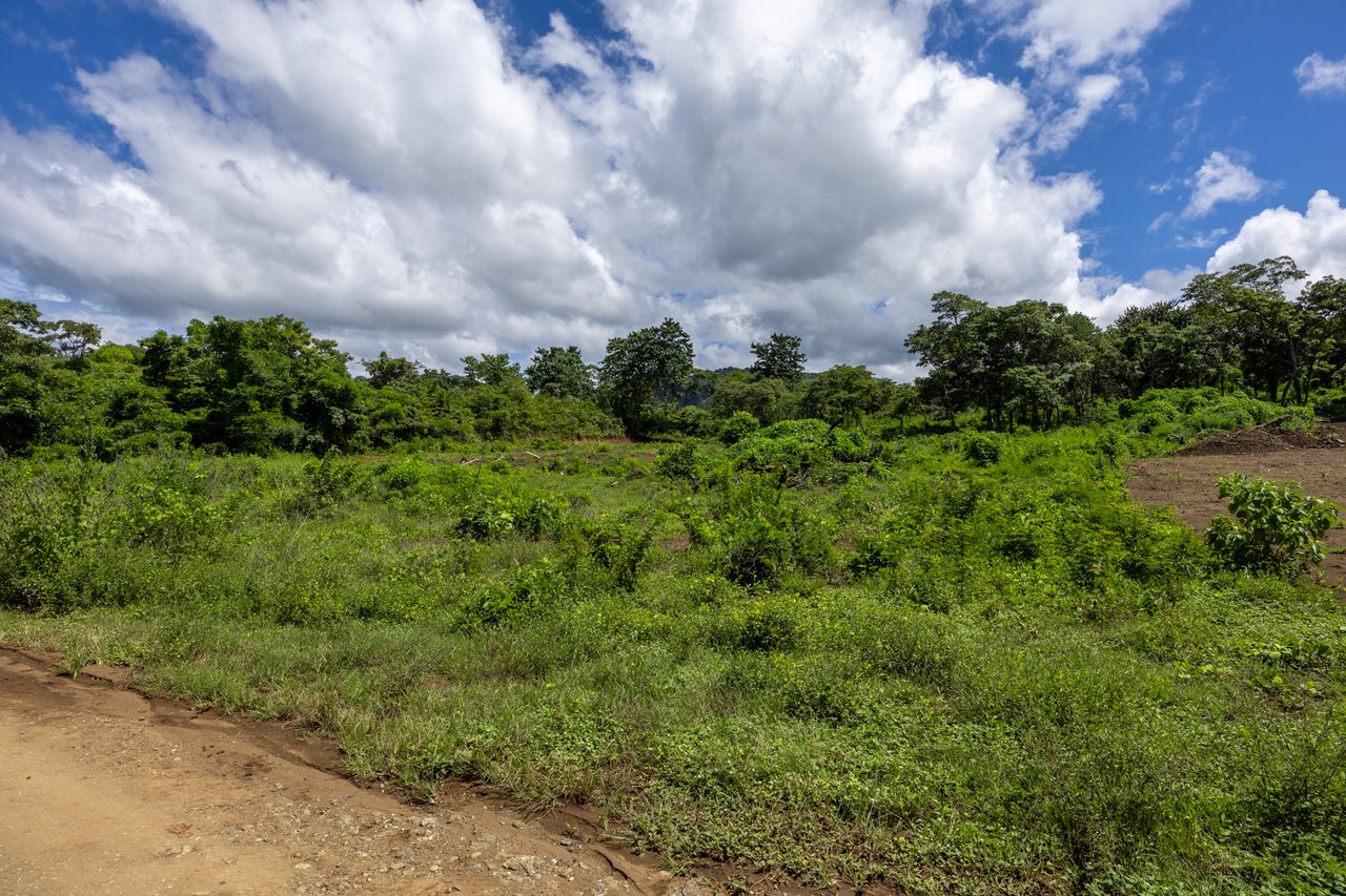 Lot Norte – Potrero | 5,000 m² Flat Build-Ready Lot Near the Beach