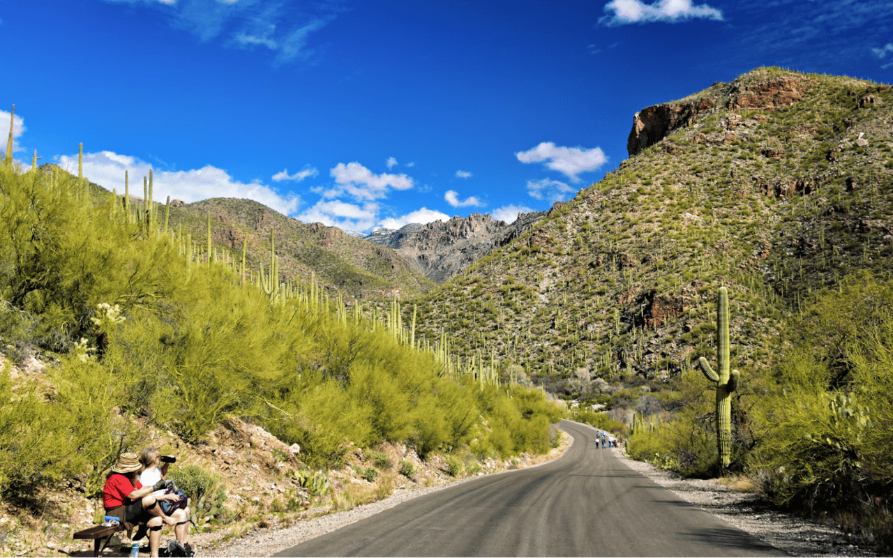 Top Outdoor Things to Do in Tucson