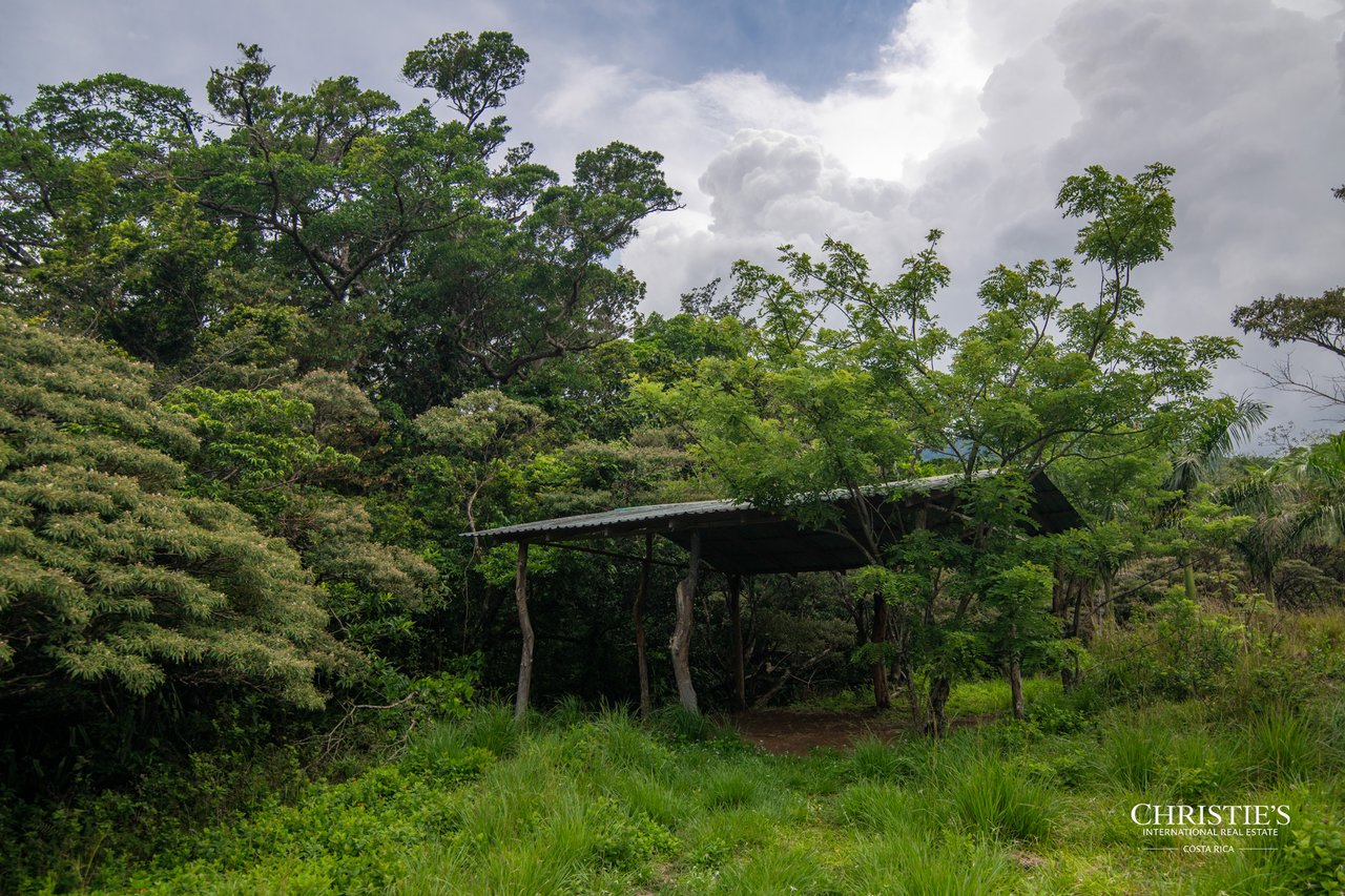 Origins Mineral: A Rare Landholding in Guanacaste’s Volcanic Highlands