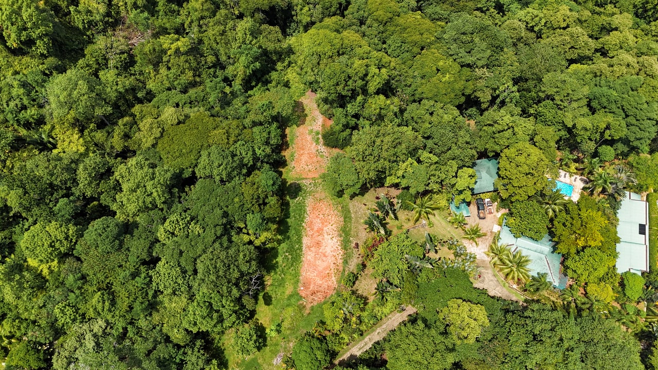 Ojochal Property for Sale – Cabins, Restaurant & 3-Bed Home