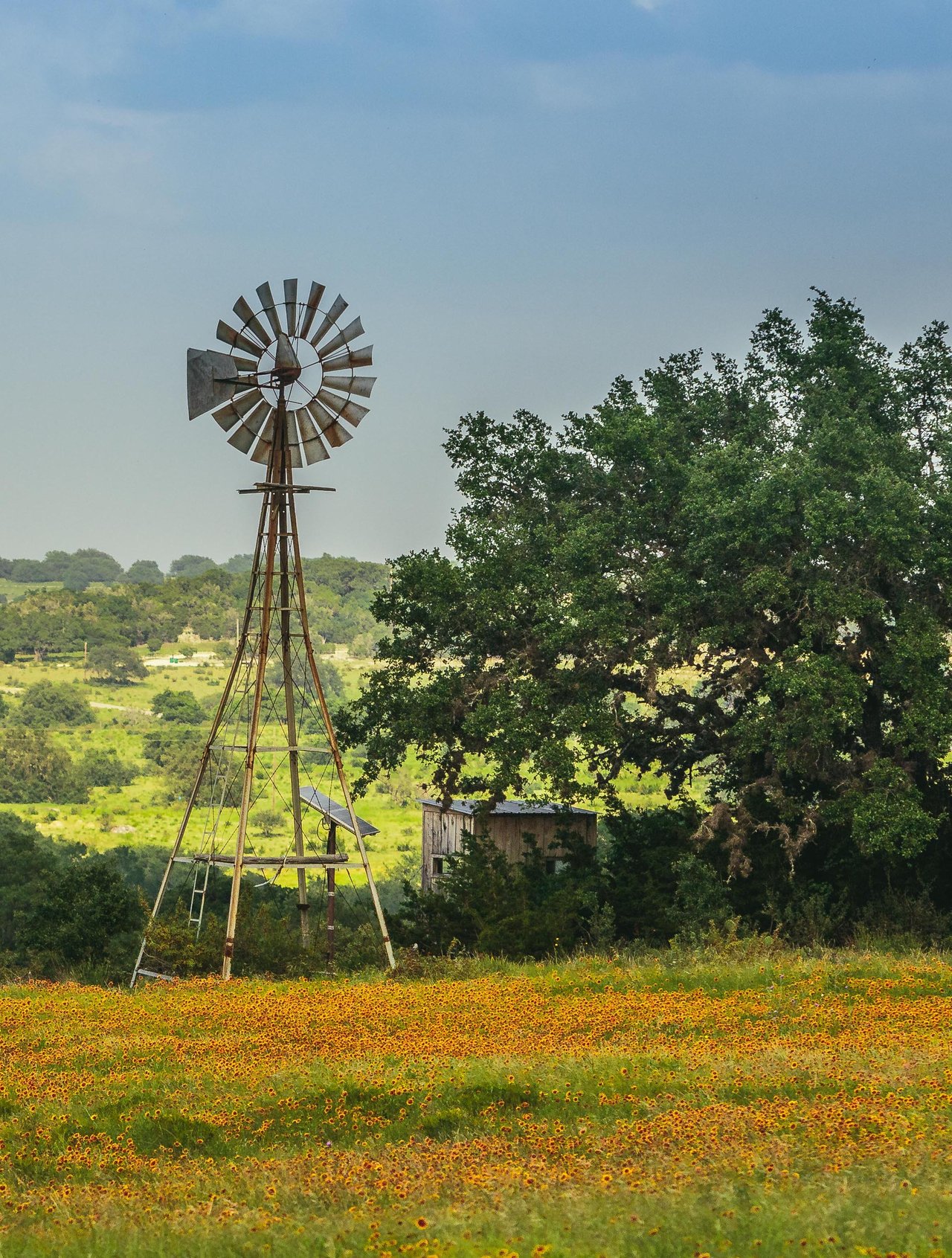 1934 N Walnut Springs Rd