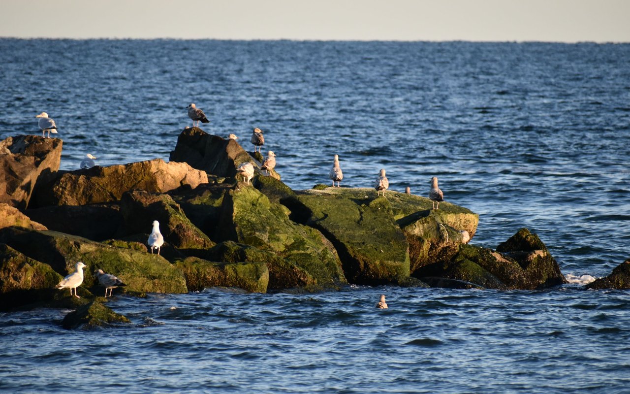 Rockaway Park
