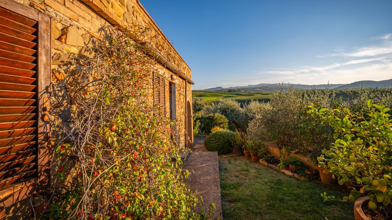 POGGIO COLOMBA