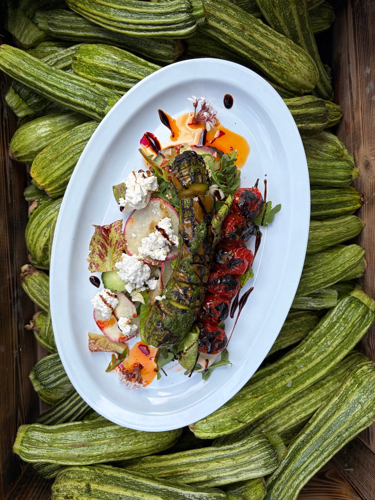 Gibraltar Gems Zucchini Special