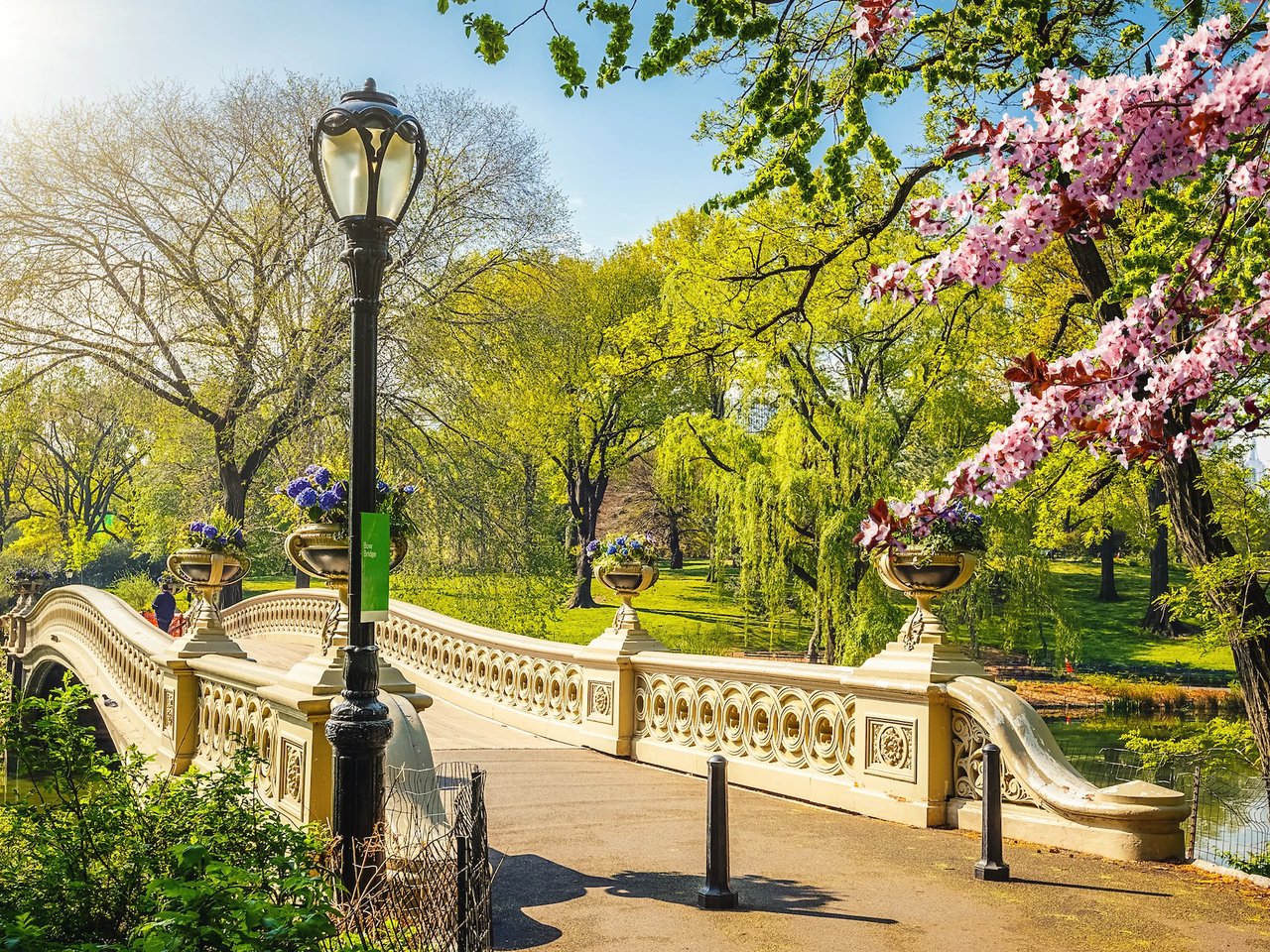 The Market Report: May 2026
