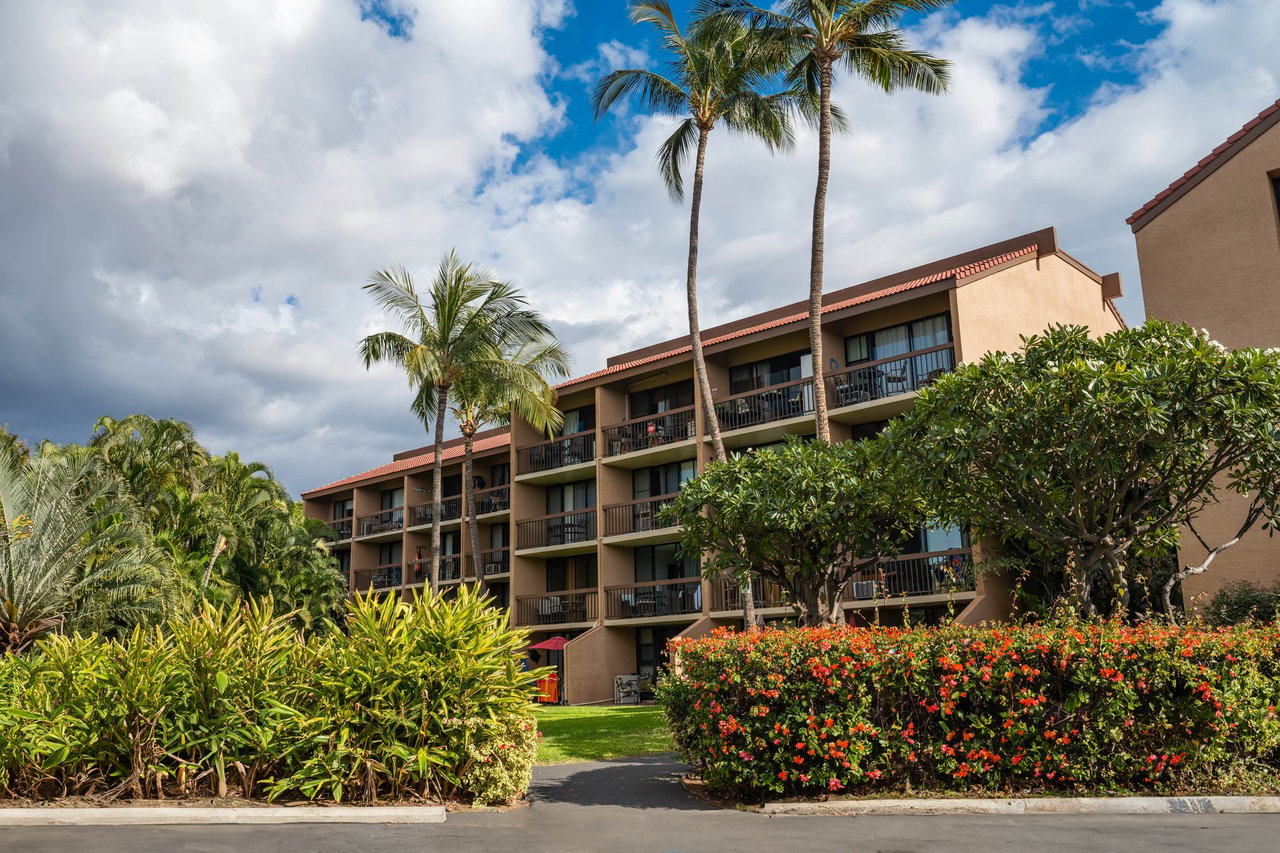 Maui Vista