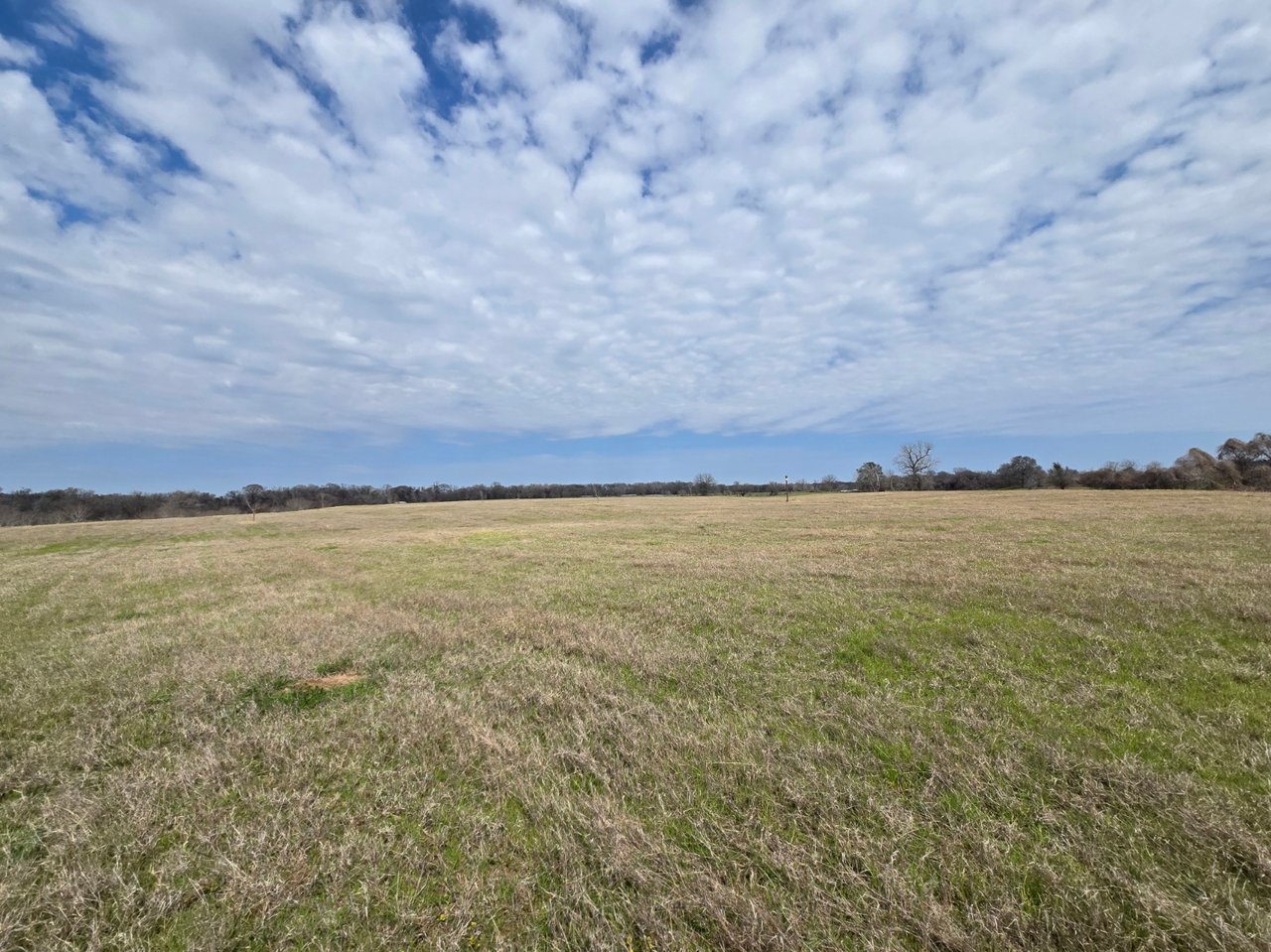 +/- 90 Acre Colorado Riverfront Ranch Coming Soon!