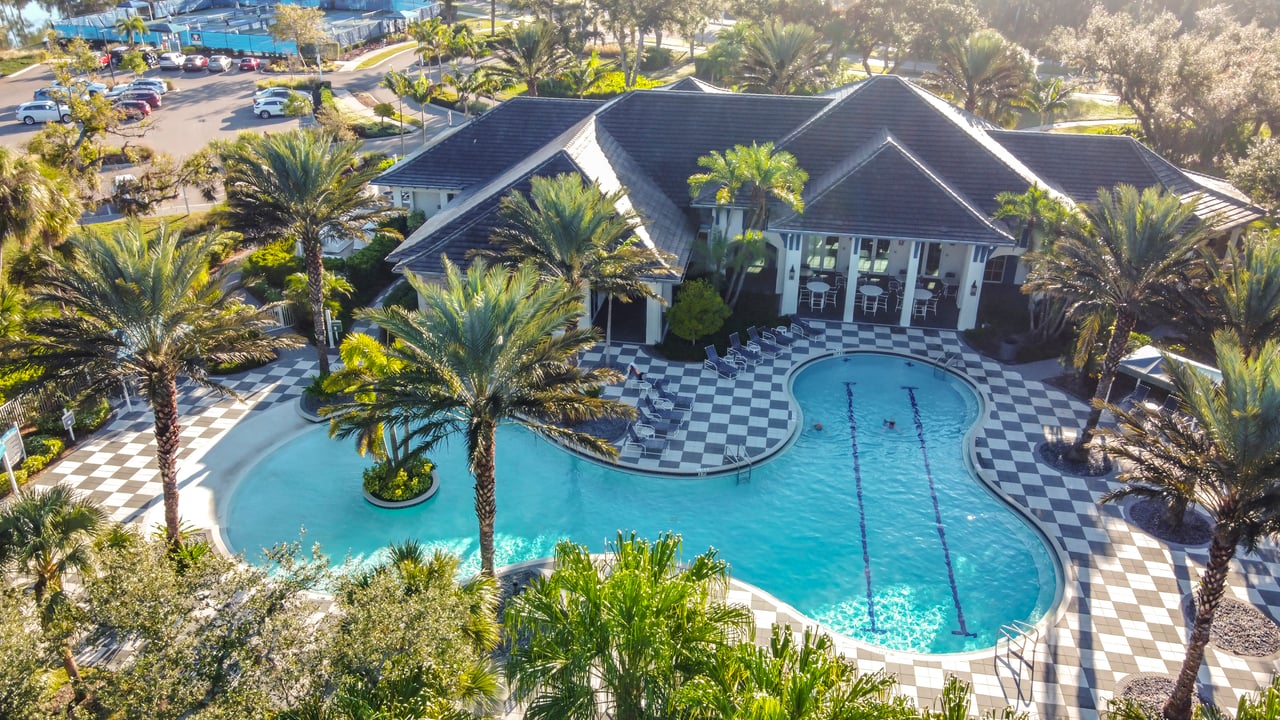Grand Palm