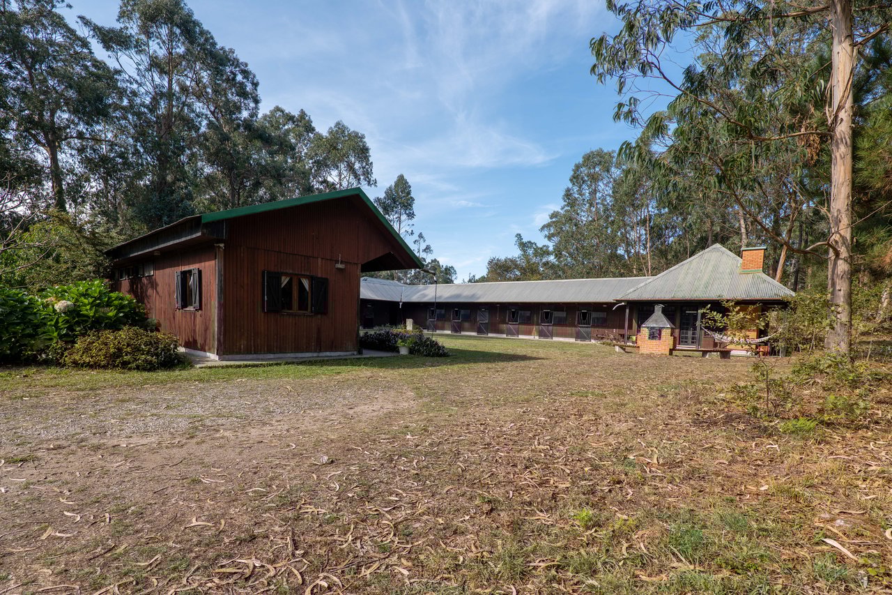 Equestrian Estate in Lavra with 13,000 m² just 800 Meters from the Beach