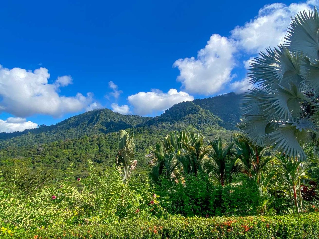 Ocean, Jungle & Mountain View Home in Ojochal | Protected Jungle Setting