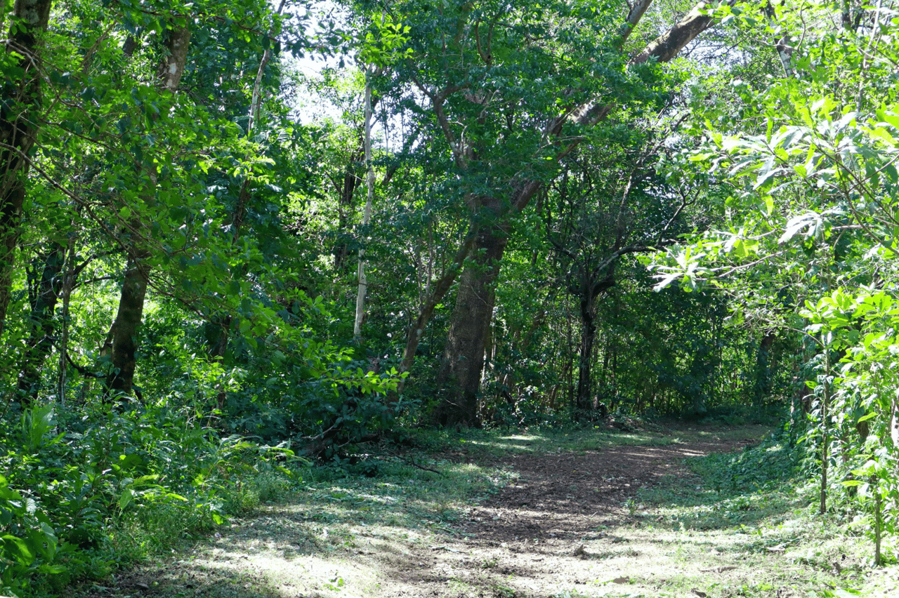Eco Sanctuary In Playa Marbella - 250 Acre Riverfront