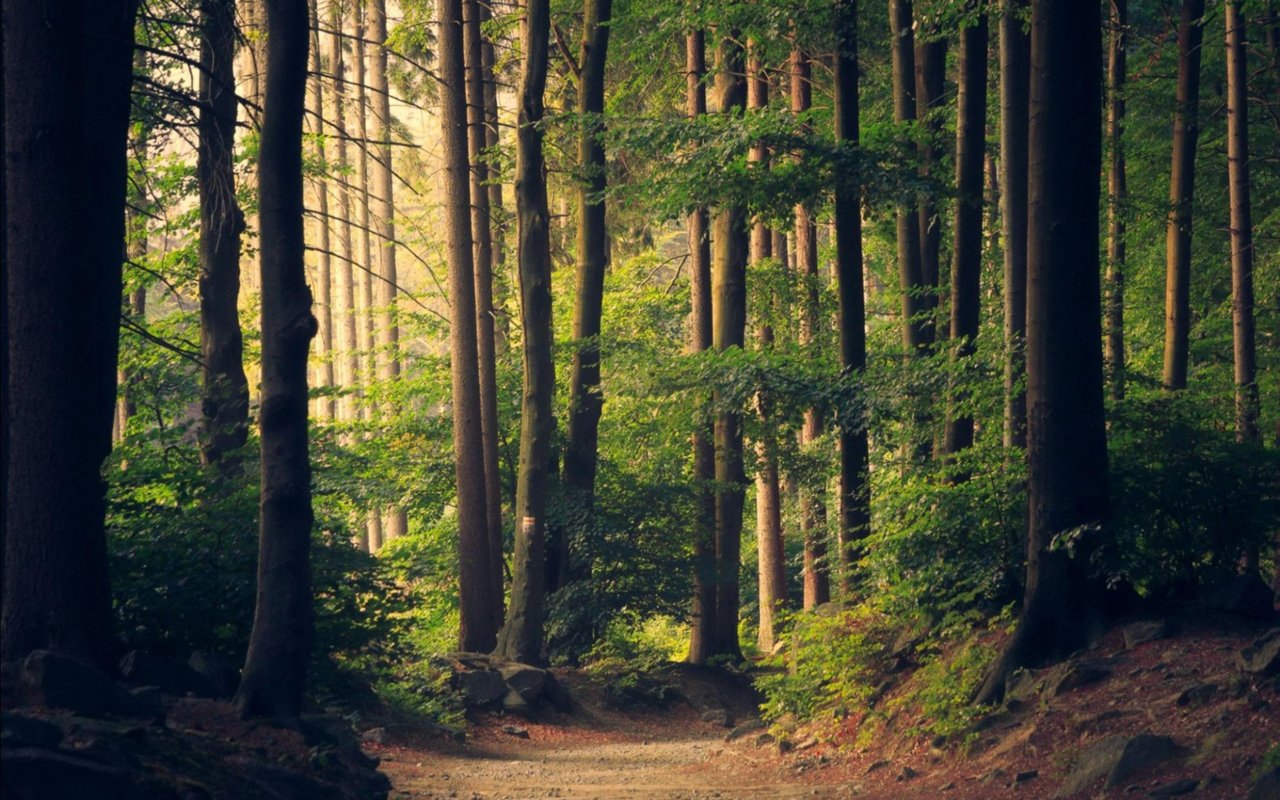 A Guide to Celina, TX Parks