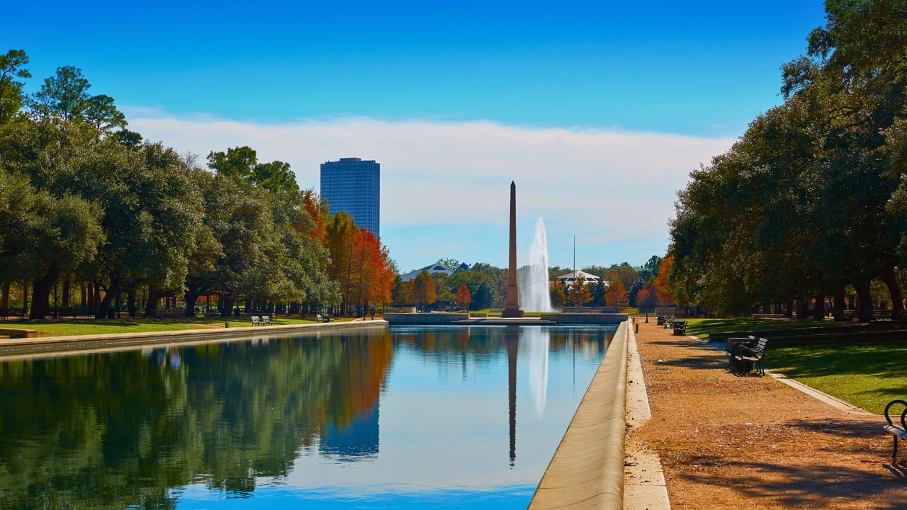 The Woodlands