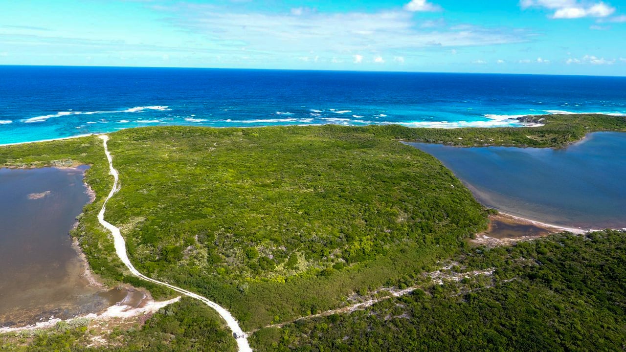 Salt Pond, Long Island
