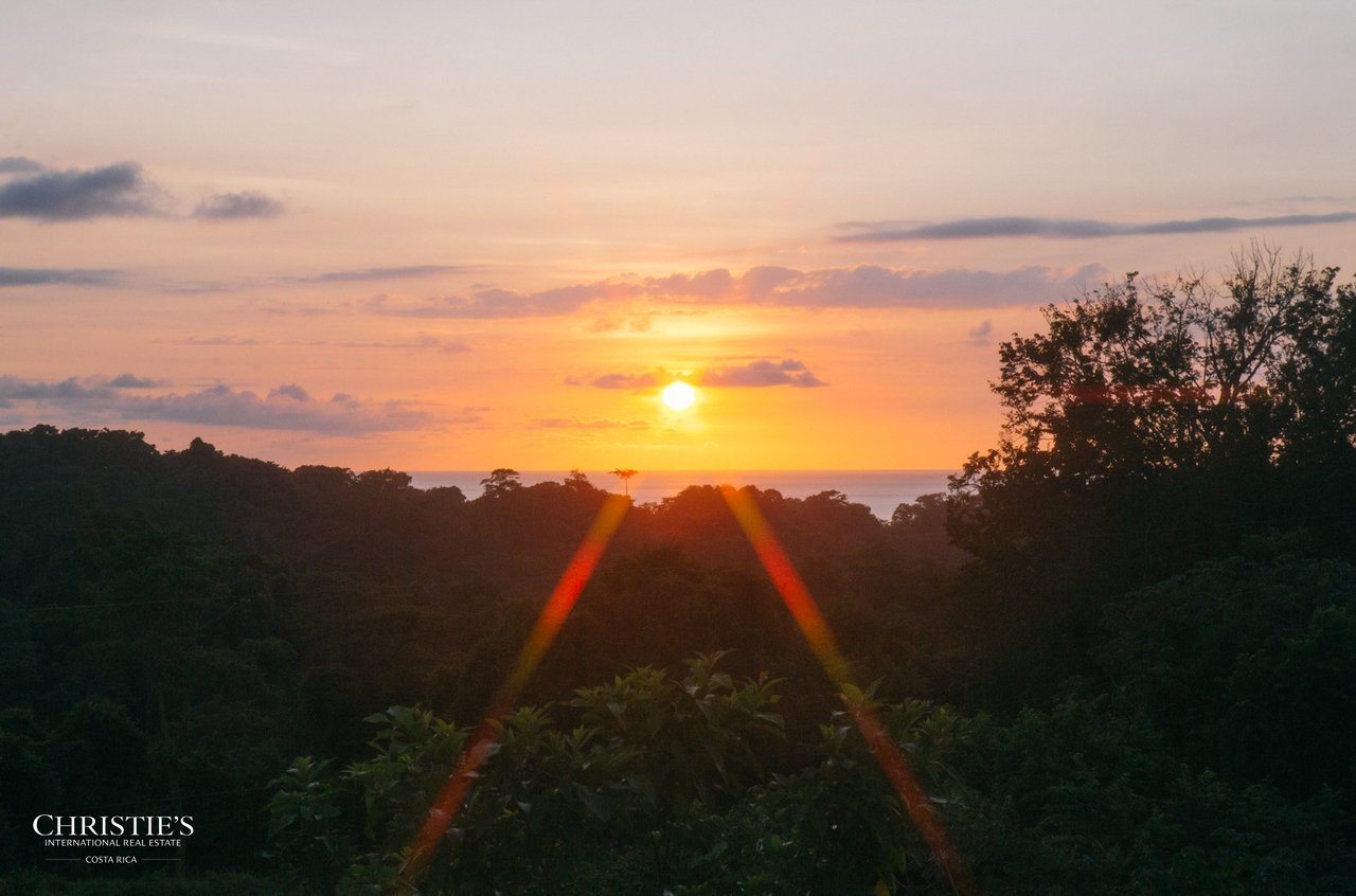 Villa Animales – Luxury Jungle Sanctuary