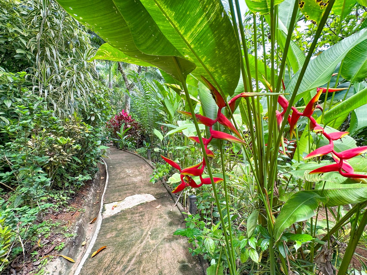 Ojochal Property for Sale – Cabins, Restaurant & 3-Bed Home