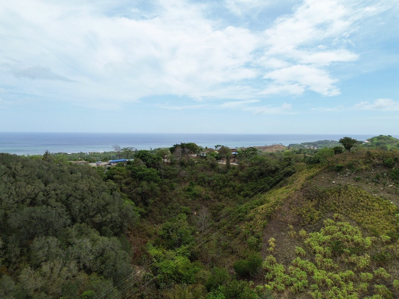 24 Acres located in Six Huts, Milton Bight