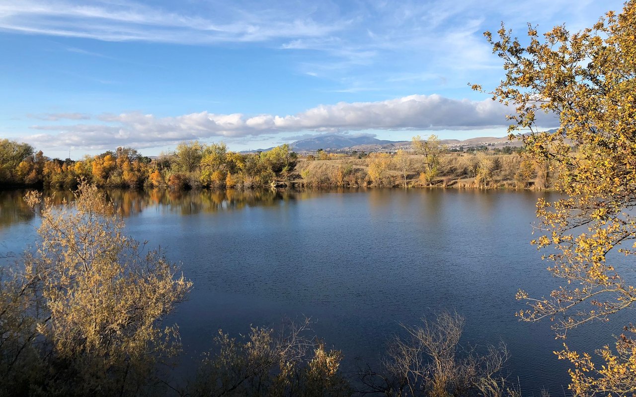 Pleasanton