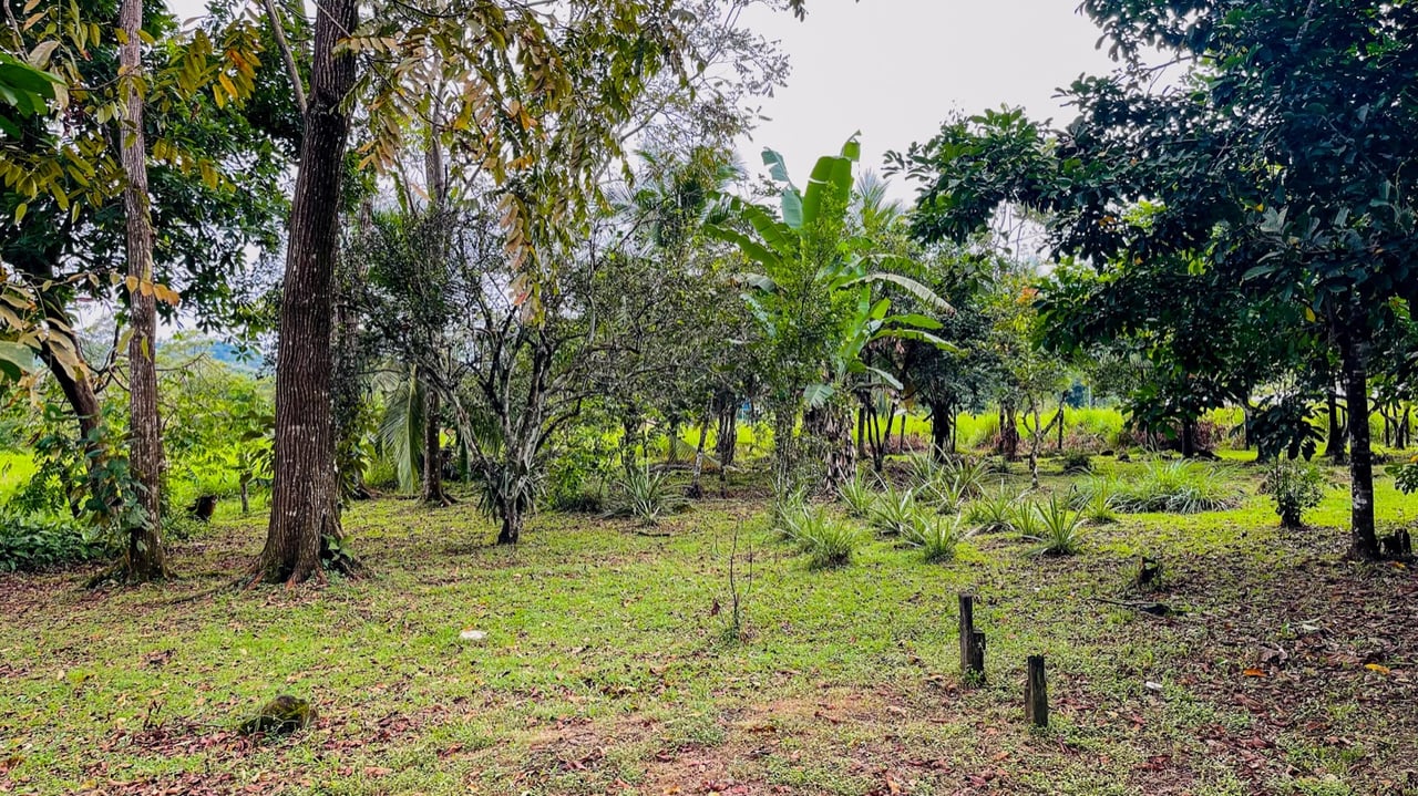 House for Sale in Ojochal, Costa Rica – Traditional Charm on 2.75 Acres