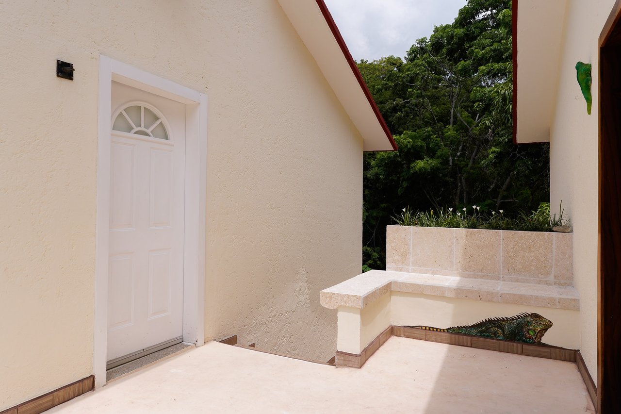 1 Bedroom, Condo, Mirador #5