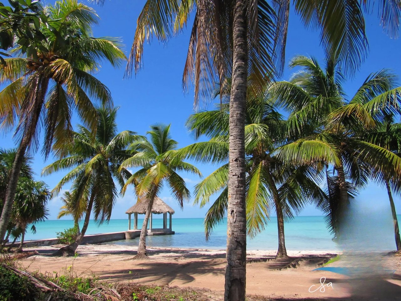 Los Pinos, Sarteneja 5 acre vacant parcel