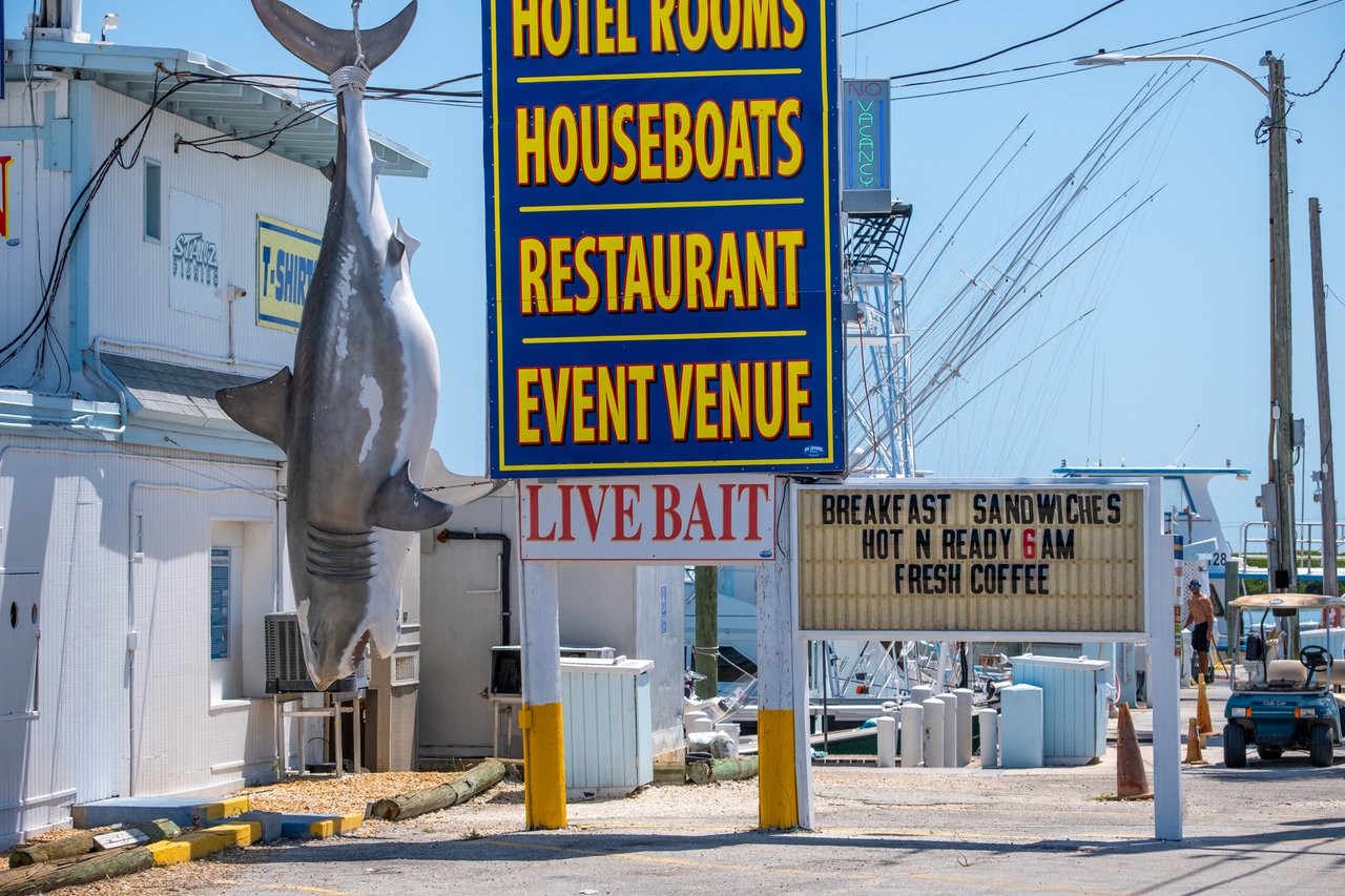 The Top Attractions in Islamorada For Locals or Tourists