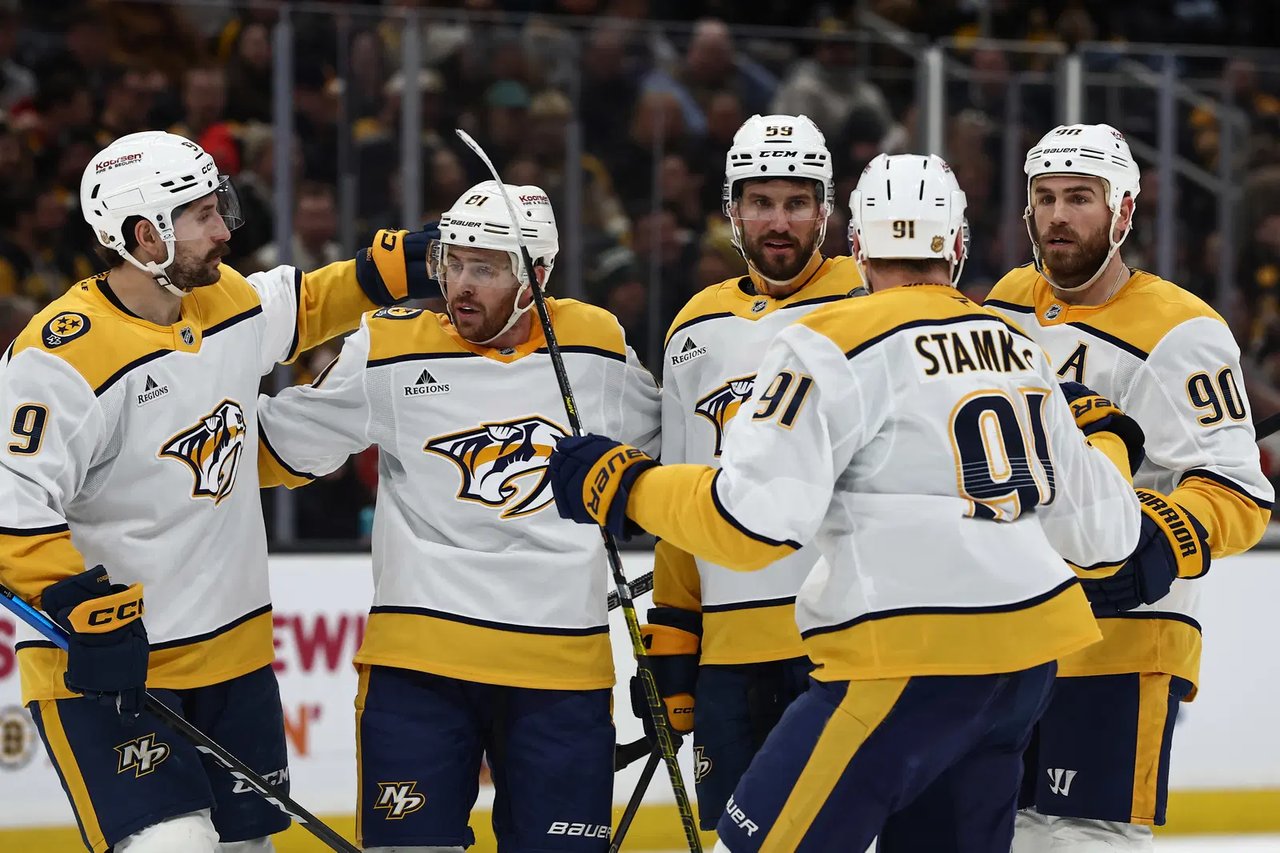 Nashville Predators  image
