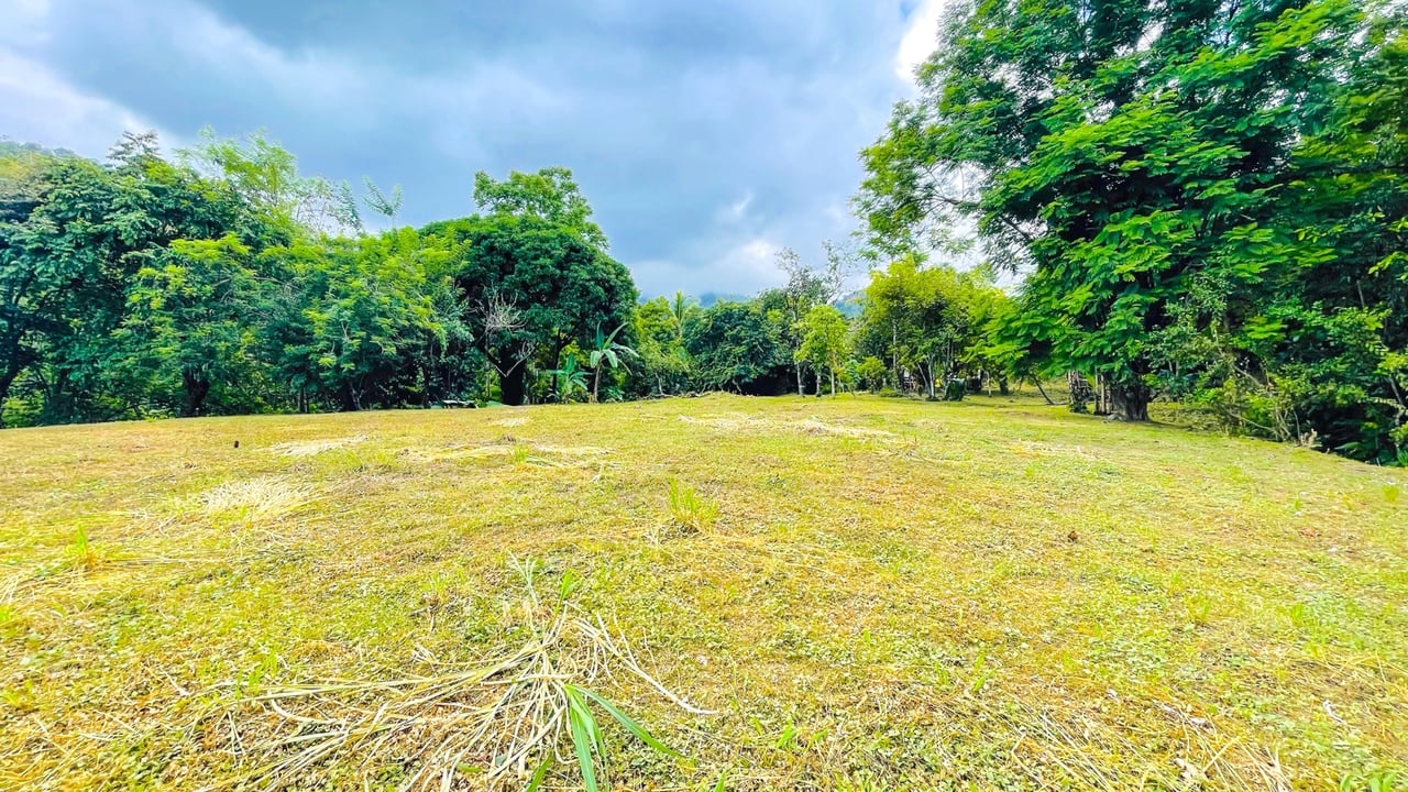COSTA RICA LAND FOR SALE | LARGE FLAT PRIVATE PROPERTY WITH MOUNTAIN VIEWS, RIVER & FRUIT TREES
