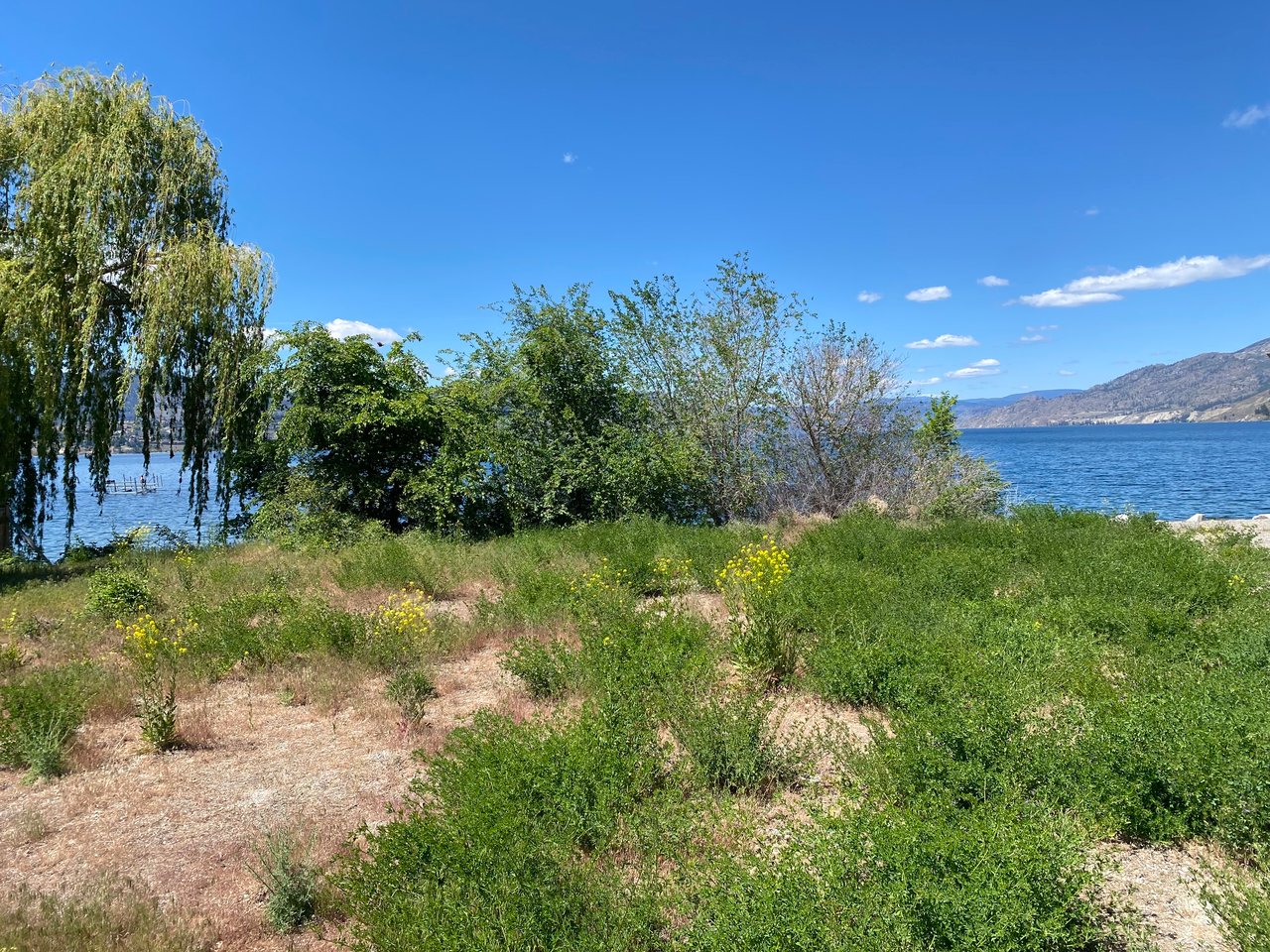 3855 1st Street Lot# 1