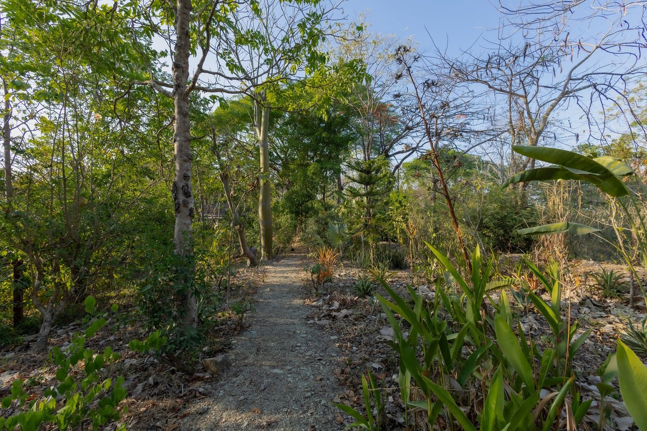 Exclusive Ocean View Development Homesite, Santa Teresa, Puntarenas