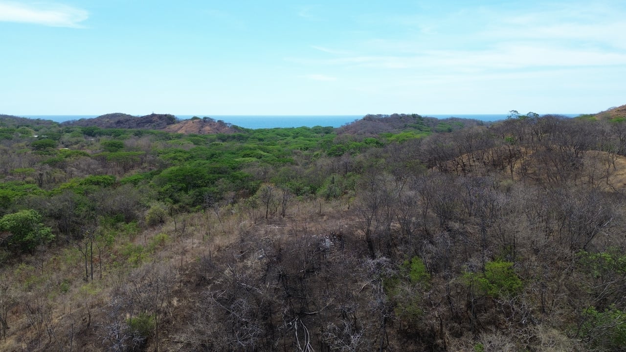 5 HECTARES DEVELOPMENT OPPORTUNITY - PLAYA MINAS