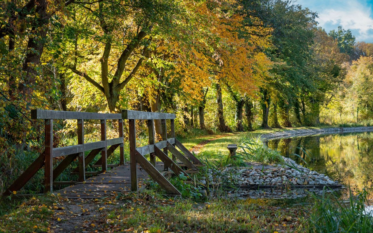 Tega Cay
