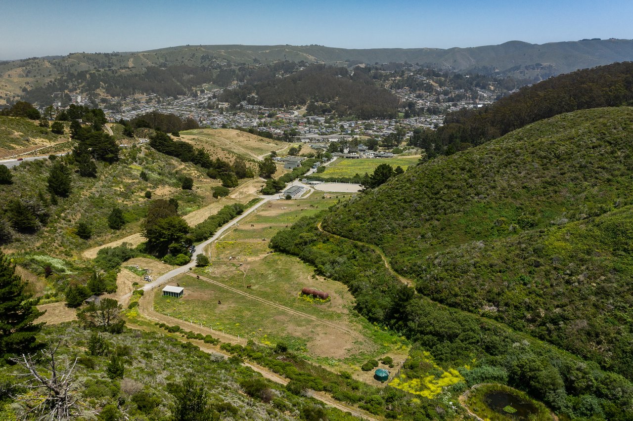 Shamrock Ranch