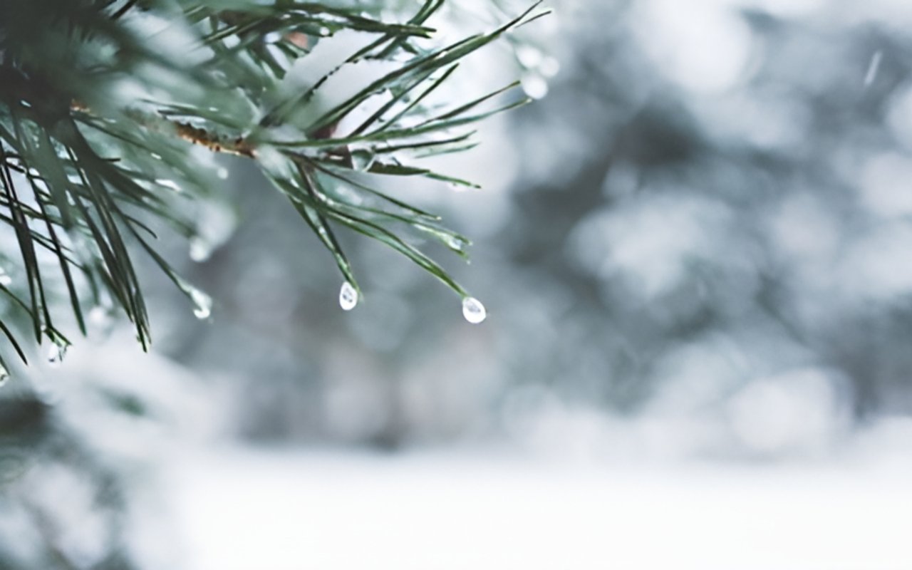 Winterizing Your Home: Essential Tips to Stay Warm and Protected