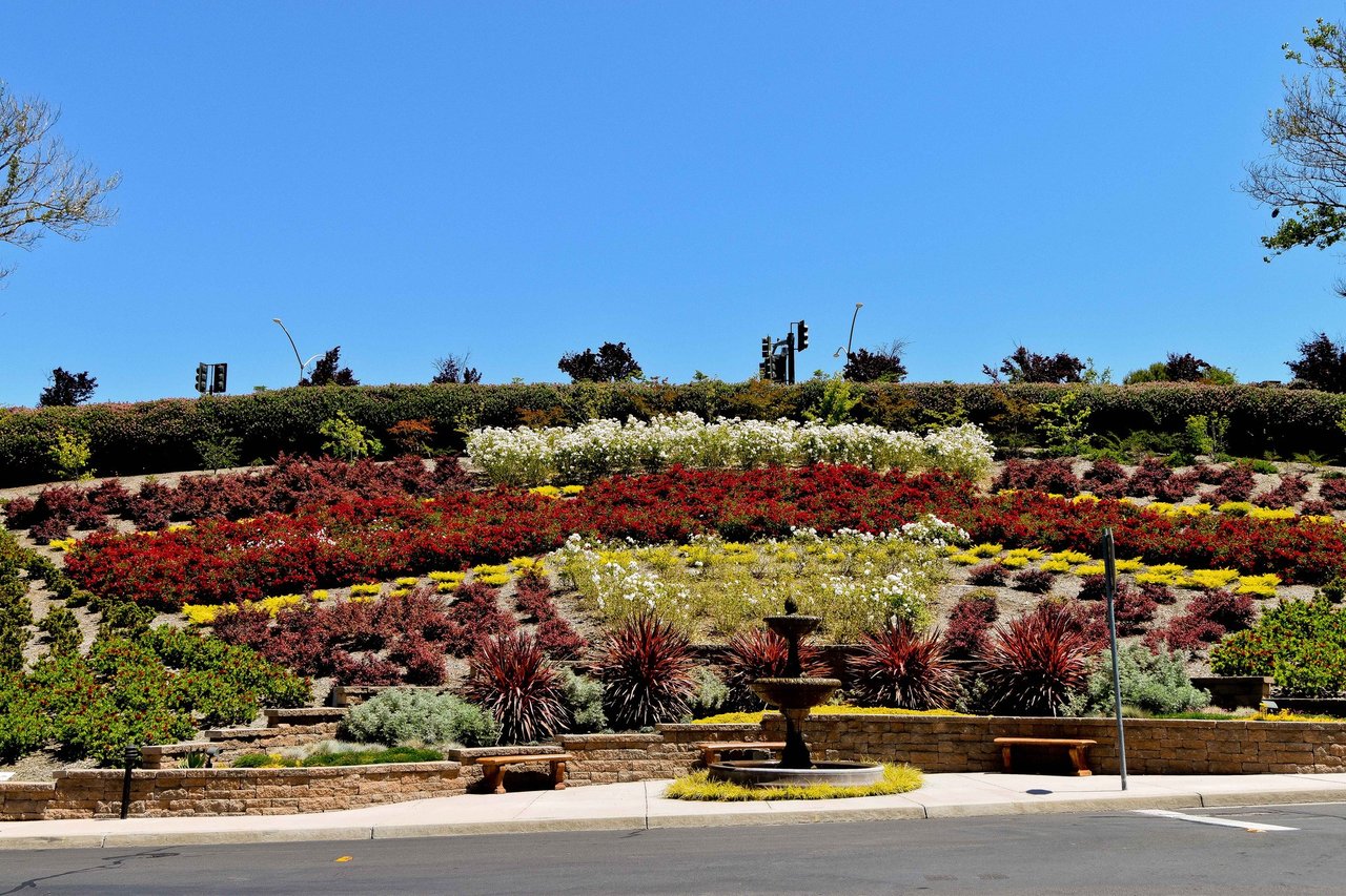 731 Lakemont Pl. #6, San Ramon