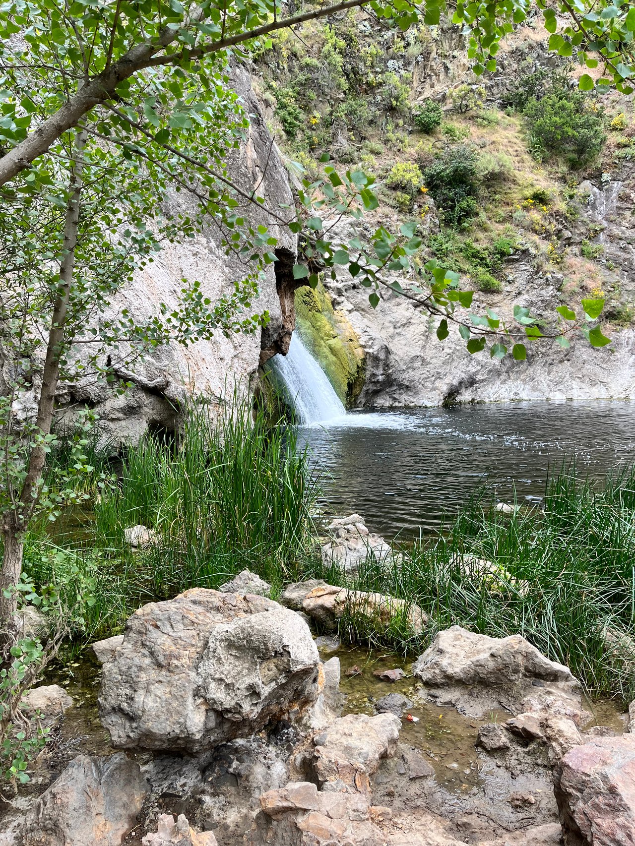 Thousand Oaks