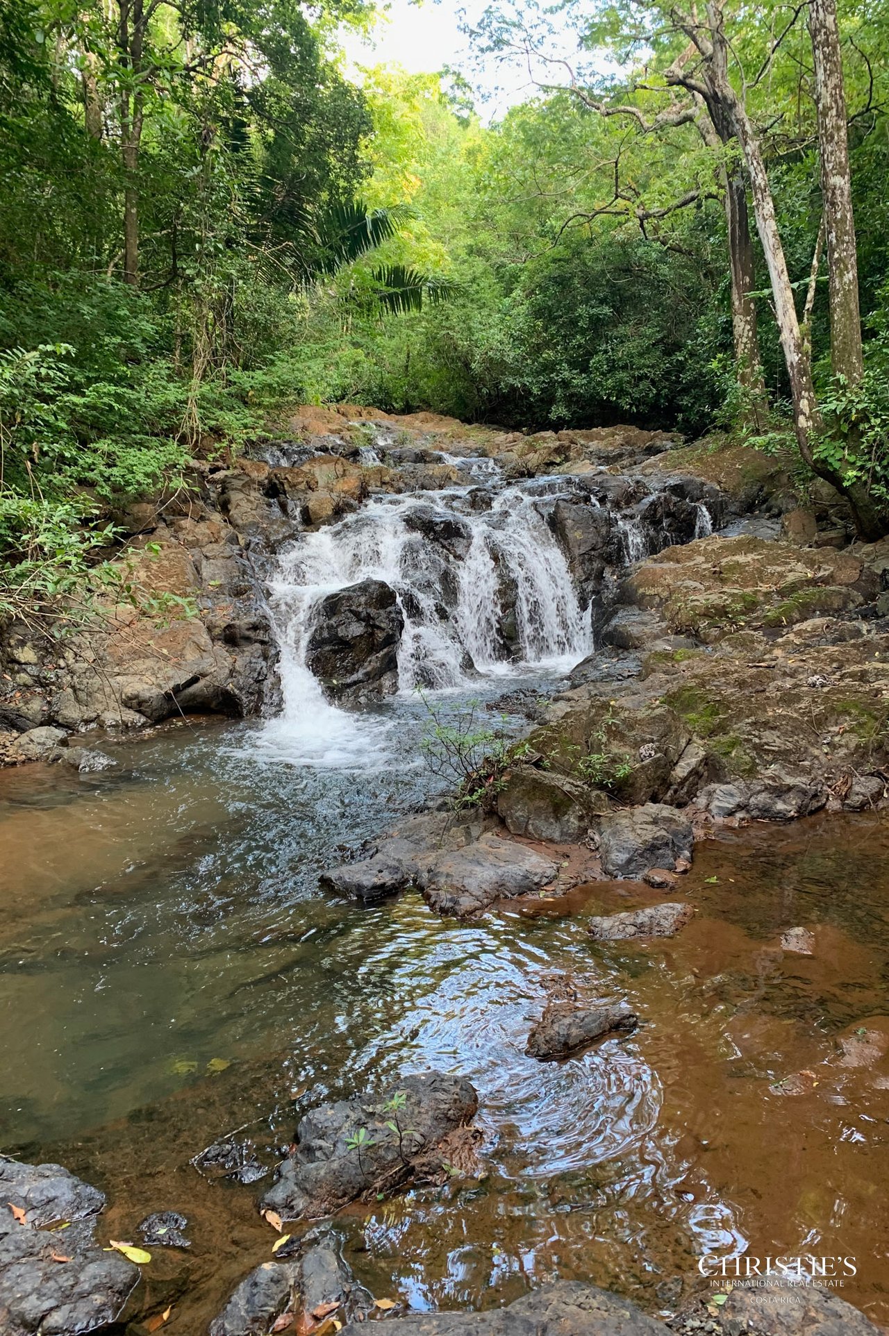 Finca Naranjalito