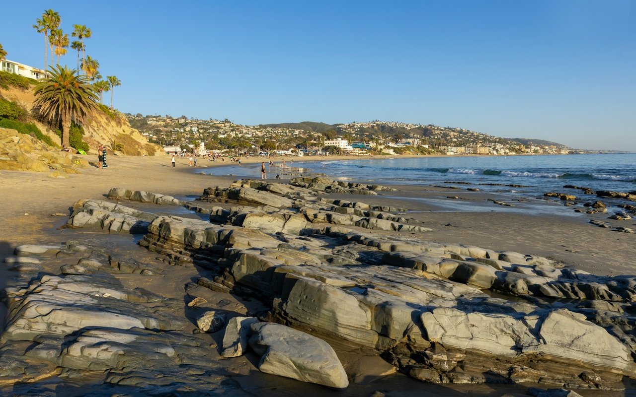 Ocean Vista