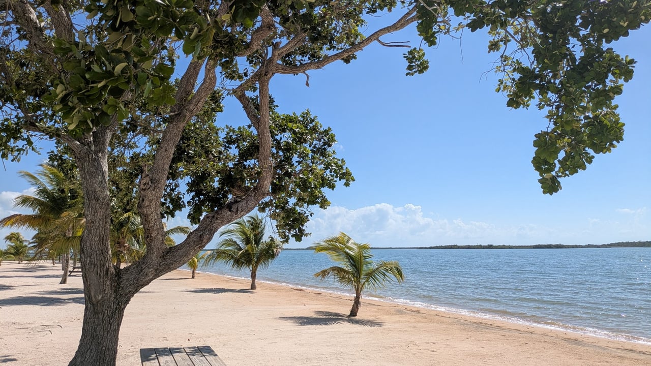 Coconut Point Belize