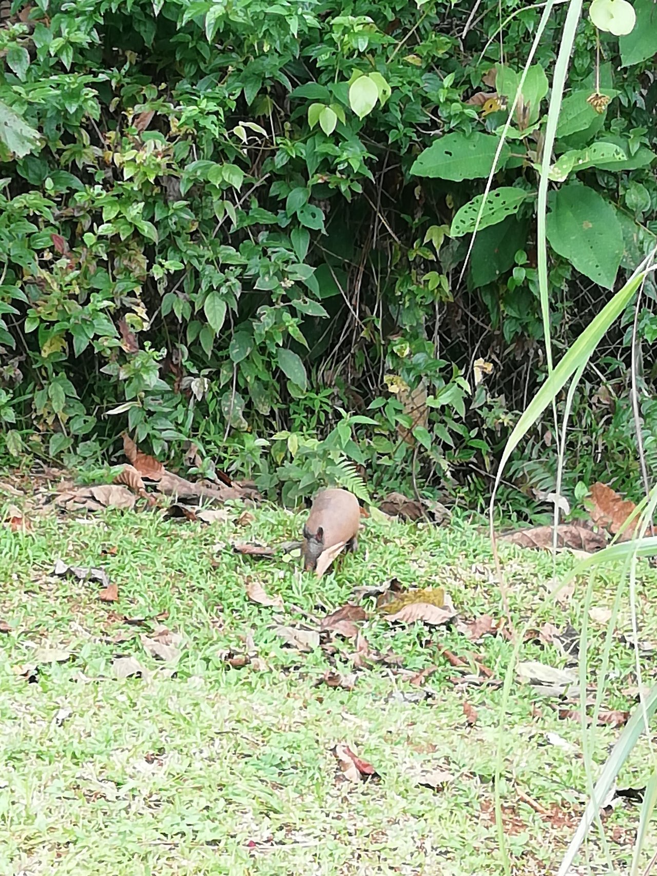 Eco Property Media Luna